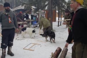 2019 Winter Course