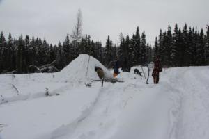 2019 Winter Course