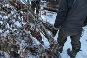 2019 Winter Course