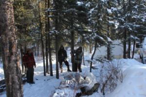 2019 Winter Course