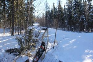 2019 Winter Course