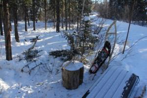 2019 Winter Course