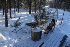 2019 Winter Course