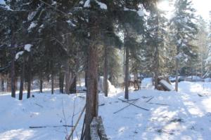 2019 Winter Course