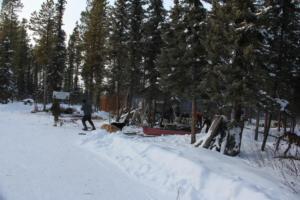 2019 Winter Course